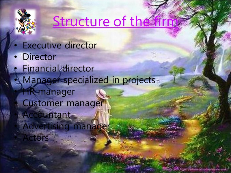 Structure of the firm Executive director Director Financial director Manager specialized in projects HR